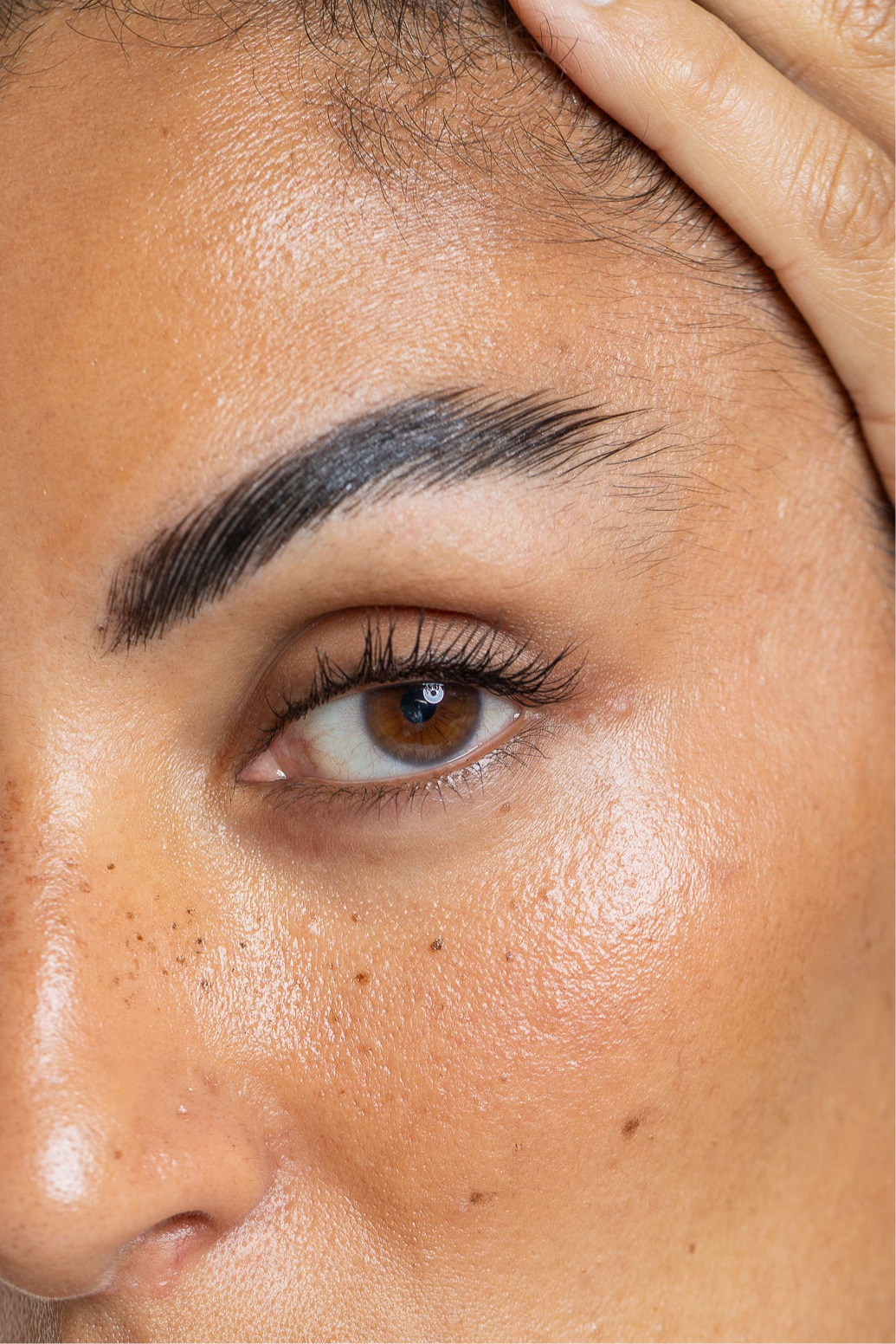 Faux Brow- Shape (pot)